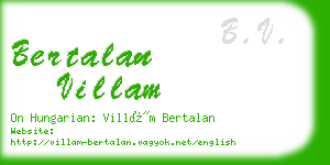 bertalan villam business card